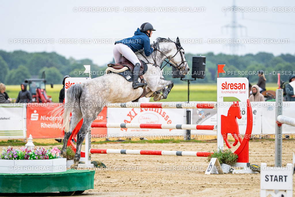 DSC08208 | Pferdegrafie