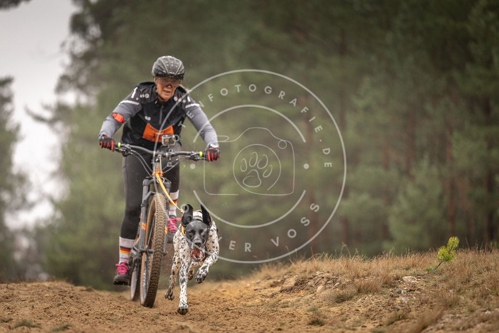 Pfotenfotografie_DV3A3380 | Hundefotografie, Tierfotograf, Pfotenfotografie, Fotoshooting Hund, Hunde Portrait, Hundesport, Hundeportraits, Heideshooting, Hunde, Sportfotograf, Hundefotograf, Turnierhundsport, THS,  - Realisiert mit Pictrs.com