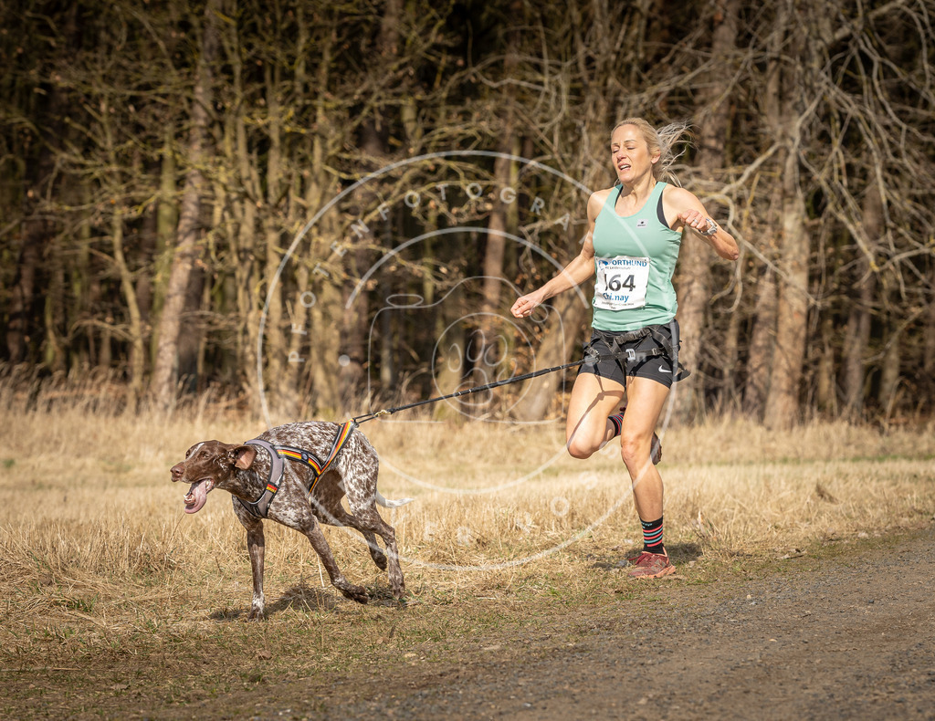 DV3A5606 | Hundefotografie, Tierfotograf, Pfotenfotografie, Fotoshooting Hund, Hunde Portrait, Hundesport, Hundeportraits, Heideshooting, Hunde, Sportfotograf, Hundefotograf, Turnierhundsport, THS,  - Realisiert mit Pictrs.com