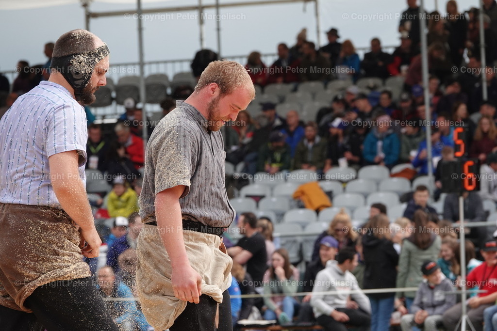 DSC03849 | Schwingen - Realisiert mit Pictrs.com