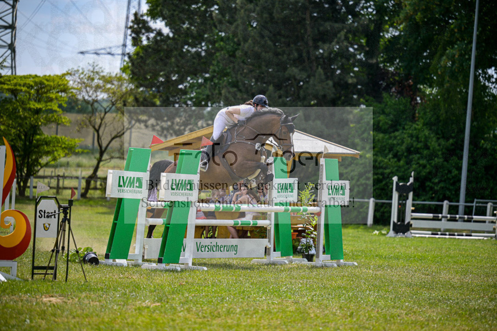Reitturnier Voxtrup | Entdecke hochwertige Reitturnierfotos von Foto Oger. Professionell, emotional und authentisch – jetzt Lieblingsmomente im Shop bestellen.Deutschlandweite Turnierfotografie. - Realized with Pictrs.com