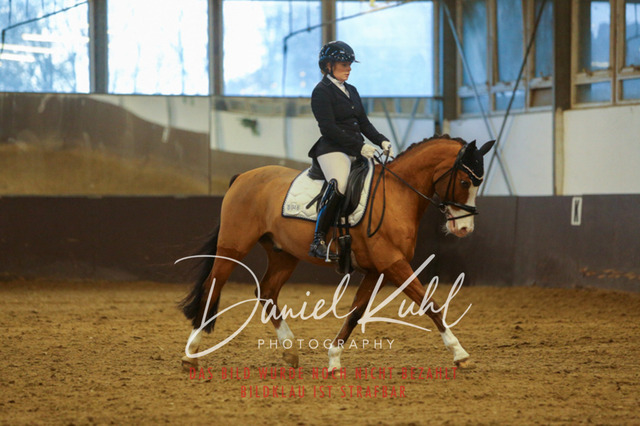 IMG_7129 | Turniersportfotografie; Pferdefotografie; Dressurfotografie