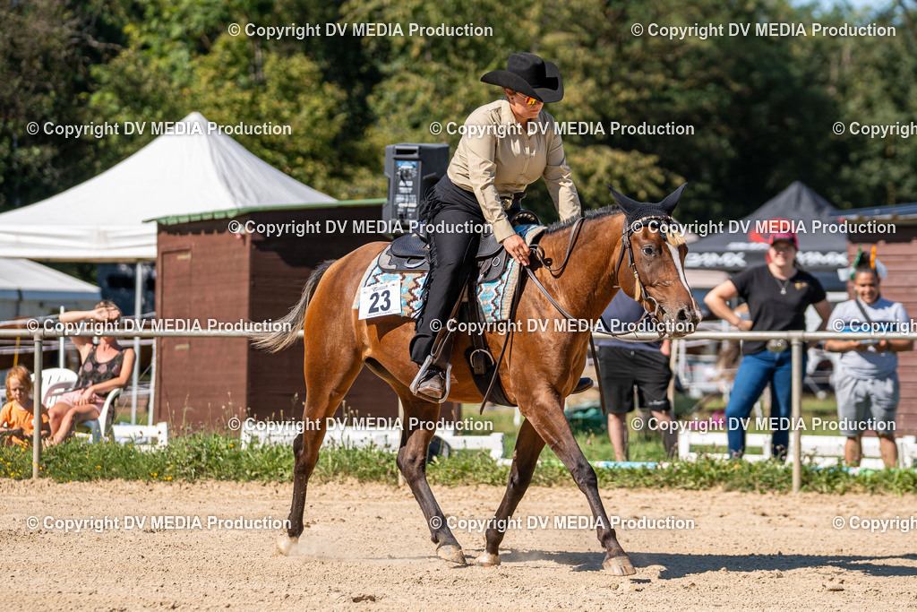 LM Heiligenwald Tag 1-1739 | dv-media-shop - Realisiert mit Pictrs.com