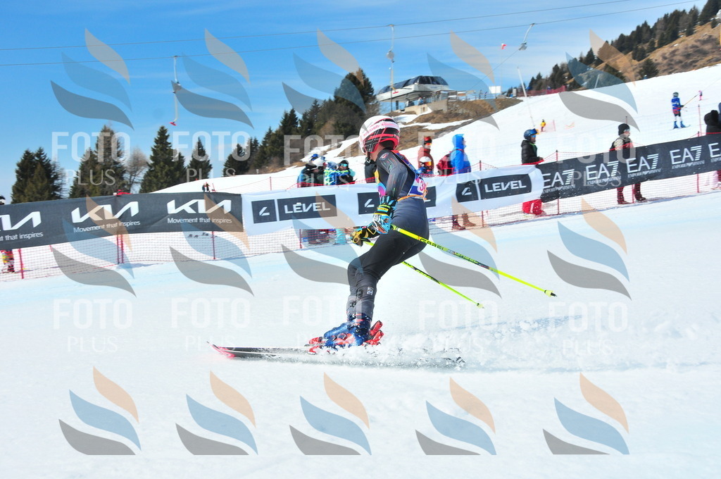 DSC_6902 | holidayphoto