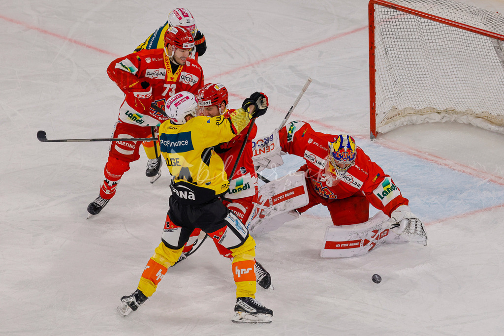 EHCB vs SCB 20260110_wb-2985 | Sportbilder, Sportfotograf, Hochzeits- und Eventfotografin, Flugshows, Portraits und Tiershooting, Aviation, Downhill, Nationalleague, Swissleague, International