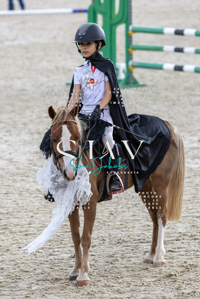 IMG_2379 | s-jay-photography - Realisiert mit Pictrs.com