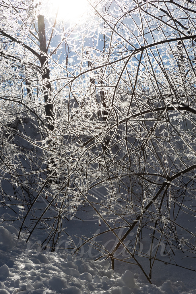 Rauhreif | Bei Veröffentlichung des Bildes ist eine Namensnennung wie folgt erforderlich: 
Foto: Mostdirn Irmgard Wieser - Realisiert mit Pictrs.com