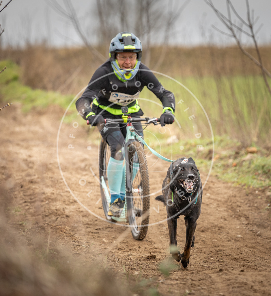 DV3A1345 | Hundefotografie, Tierfotograf, Pfotenfotografie, Fotoshooting Hund, Hunde Portrait, Hundesport, Hundeportraits, Heideshooting, Hunde, Sportfotograf, Hundefotograf, Turnierhundsport, THS,  - Realisiert mit Pictrs.com