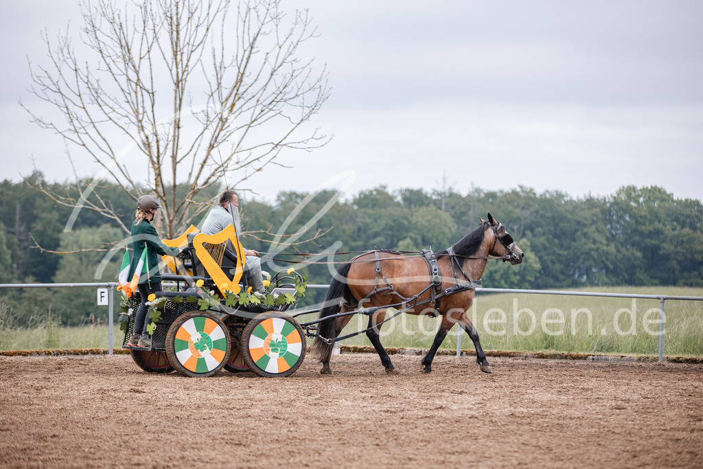 846A0307 | fotosleben - Realisiert mit Pictrs.com