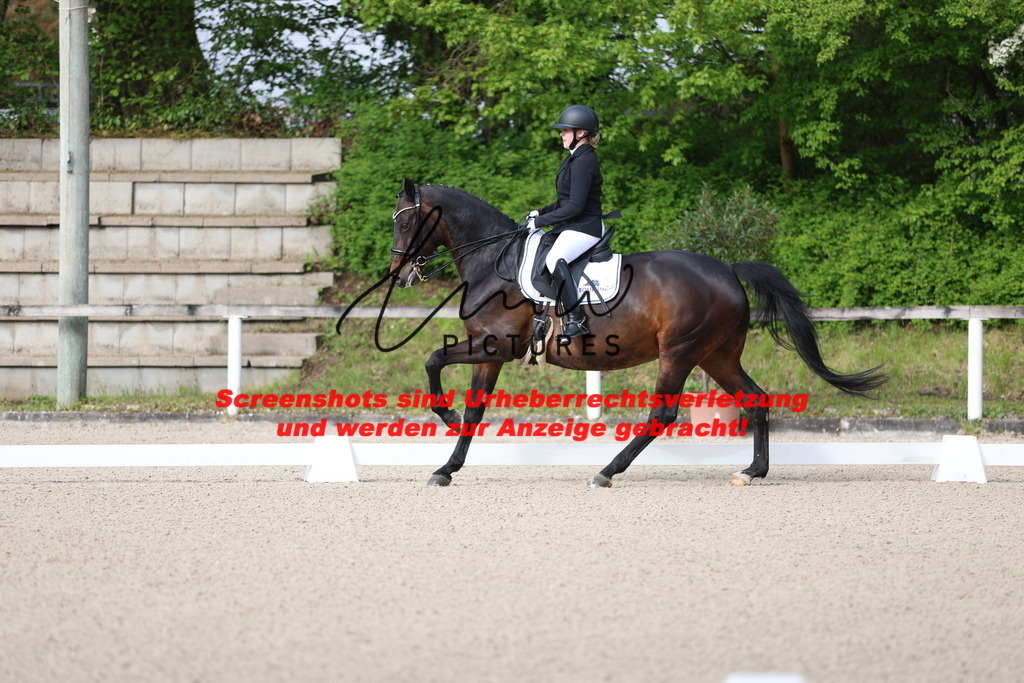 A40A3181 | lmwpictures - Realisiert mit Pictrs.com