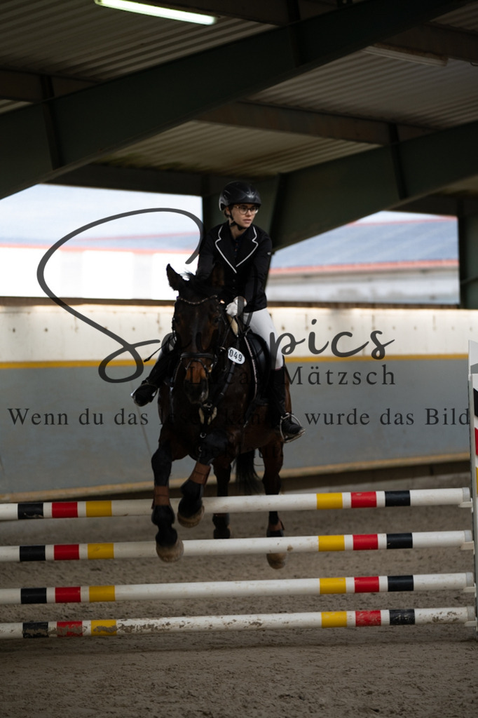 A7V02493 | Pferdefotograf