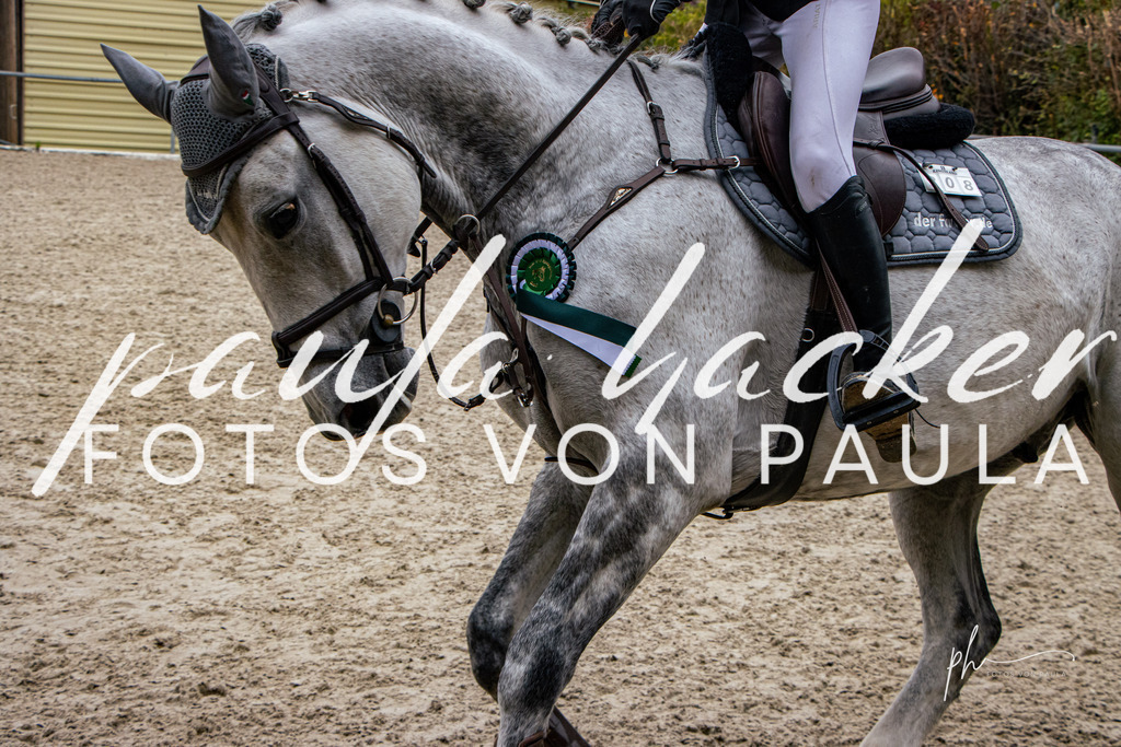 IMG_3485 | Erleben Sie dynamische Sport- und emotionale Tierfotografie in Süddeutschland mit Fotos von Paula. Spezialisiert auf Pferde- und Hundefotografie sowie Sportevents. Kontaktieren Sie mich für einzigartige und ausdrucksstarke Bilder Ihrer besonderen Momente. - Realisiert mit Pictrs.com