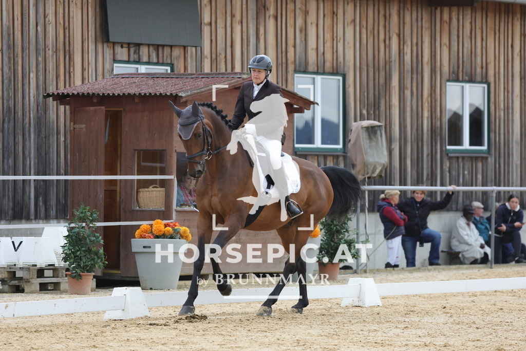 0P6A7821 | Willkommen bei Brunnmayr - Design & Fotografie – Ihrem Spezialisten für Reitturniere und Pferdeveranstaltungen in Oberösterreich, Salzburg und Bayern! Seit über 17 Jahren sind wir leidenschaftlich dabei.