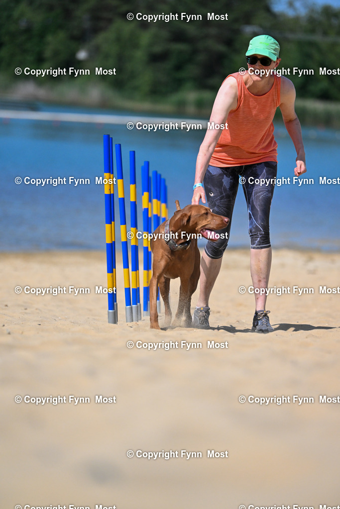 DSC_9253 | Hallo und herzlich Willkommen auf meiner Shop-Seite Fynn Most.

Ich wünsche Dir viel Spaß beim stöbern durch die Bilder, wenn Du Fragen hast oder Bilder vermisst, kannst du mir gerne eine Nachricht schreiben. - Realisiert mit Pictrs.com
