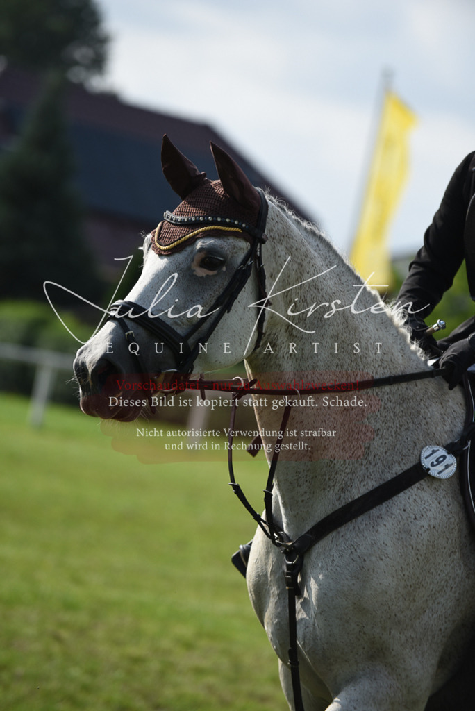 DSC_8745 | Pferde- und Turnierfotografie in Westsachsen. Pferdeportraits, Auftragszeichnungen und intuitive Kunst.