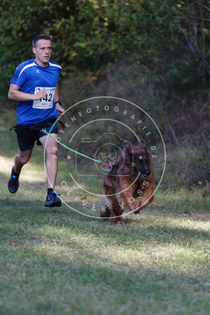 0L8A5133 | Hundefotografie, Tierfotograf, Pfotenfotografie, Fotoshooting Hund, Hunde Portrait, Hundesport, Hundeportraits, Heideshooting, Hunde, Sportfotograf, Hundefotograf, Turnierhundsport, THS,  - Realisiert mit Pictrs.com