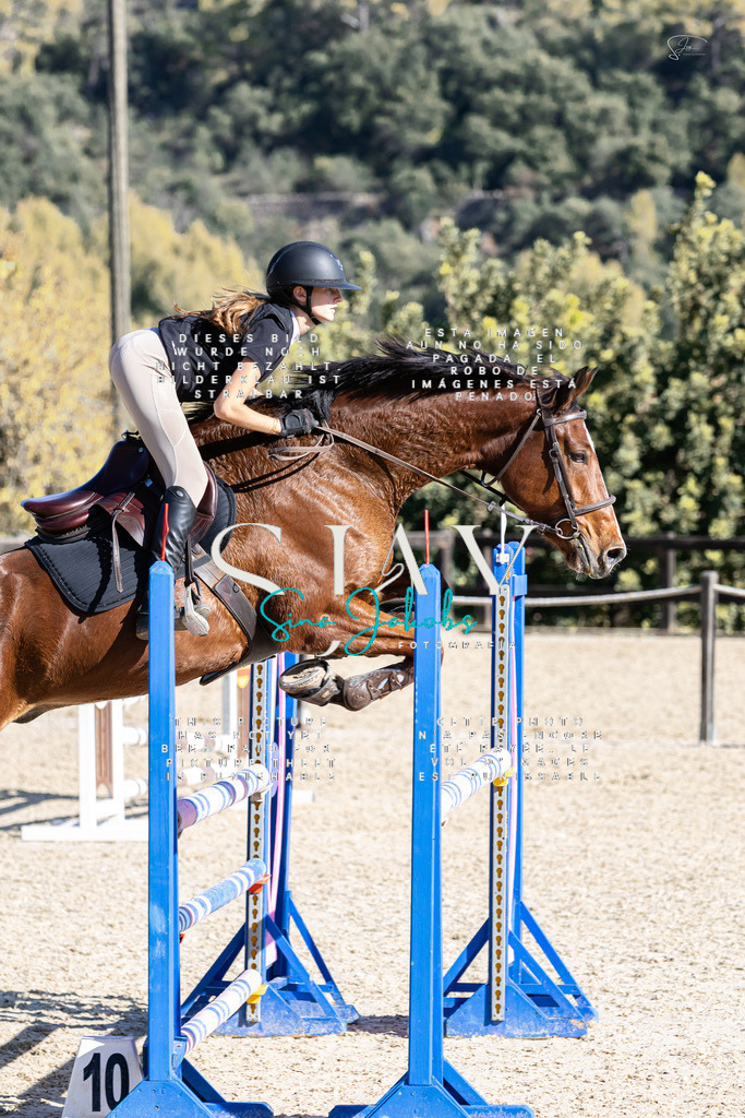 IMG_0766 | s-jay-photography - Realisiert mit Pictrs.com