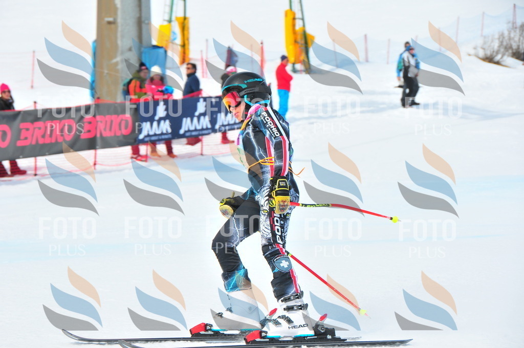 DSC_2613 | holidayphoto