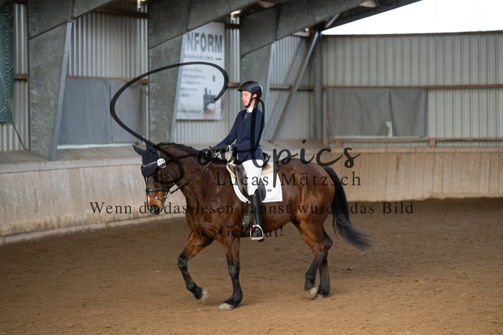 A7V05494 | Pferdefotograf