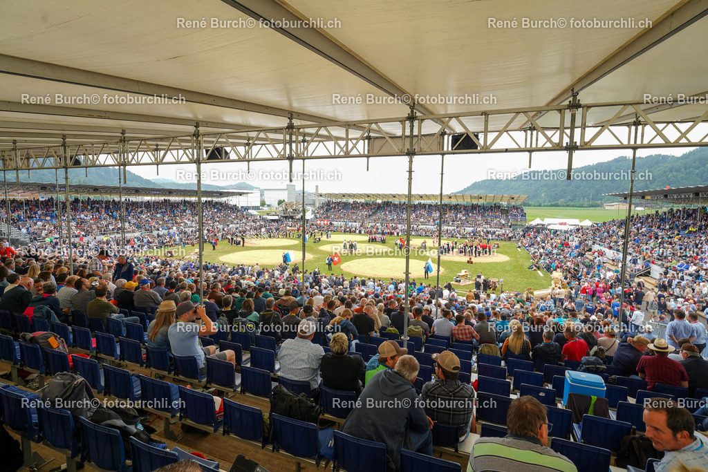 DSC00501 | René Burch leidenschaftlicher Fotograf aus Kerns in Obwalden.  Hier finden sie Sport, Landschaft und Natur Fotografie.
 - Realisiert mit Pictrs.com