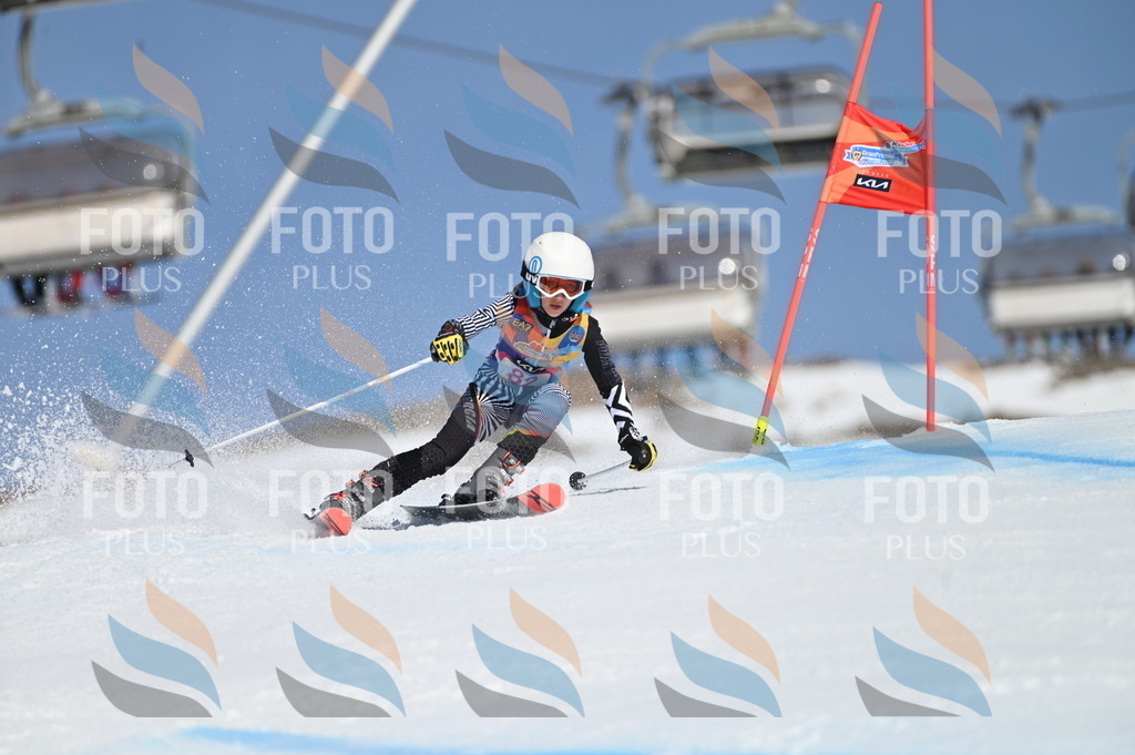 BGV_9093 | holidayphoto