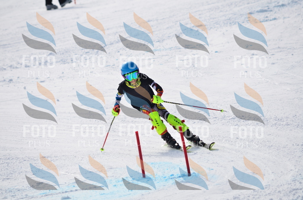 D0004 | holidayphoto