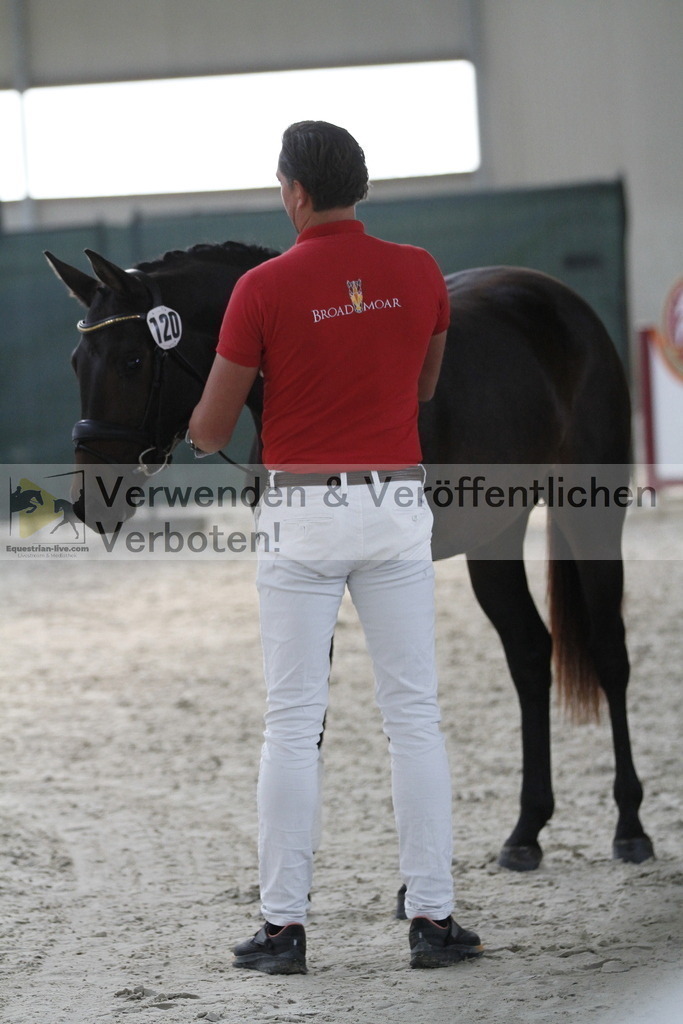 _MG_9384 | equestrian-live-com