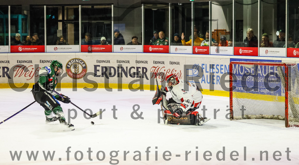 2023-11-12_125_TSV_Erding_gegen_EHC_Koenigsbrunn | Erding, Deutschland, 12.11.2023:
Eishockey, Bayernliga Vorrunde 2023 / 2024, 9. Spieltag, TSV Erding gegen EHC Königsbrunn, Endergebnis: 3:2

Erik Modlmayr (Erding Gladiators, #21), Torwart Stefan Vajs (EHC Königsbrunn, #32)

Foto: Christian Riedel / fotografie-riedel.net