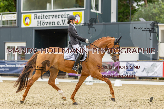 Höven DRE L (105) | mandyhollmannphotographie