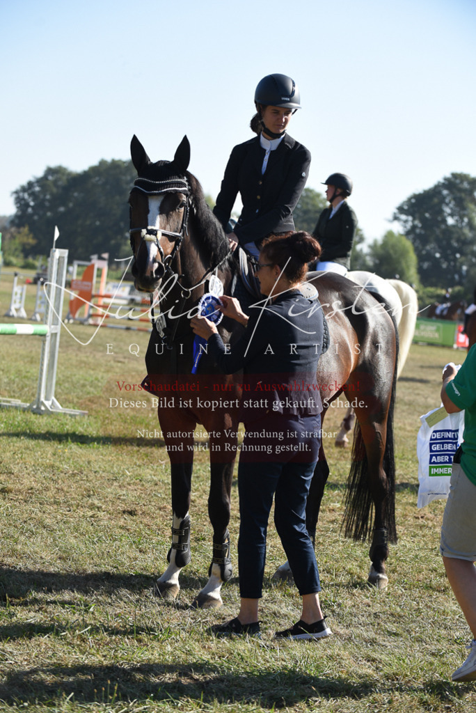 DSC_5457 | Pferde- und Turnierfotografie in Westsachsen. Pferdeportraits, Auftragszeichnungen und intuitive Kunst.