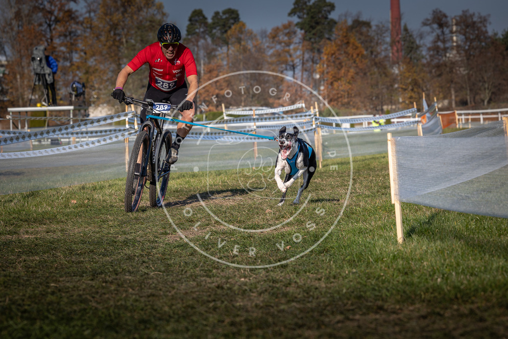 CaniXpix_0L8A6076 | Hundefotografie, Tierfotograf, Pfotenfotografie, Fotoshooting Hund, Hunde Portrait, Hundesport, Hundeportraits, Heideshooting, Hunde, Sportfotograf, Hundefotograf, Turnierhundsport, THS,  - Realisiert mit Pictrs.com