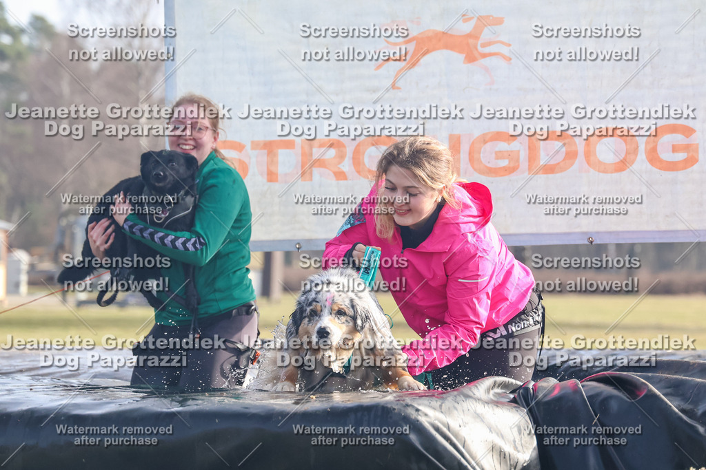Dog Paparazzi - Strongdog North Mrz26-350 | Dog Paparazzi Jeanette Grottendiek Fotografie & Videografie - Realisiert mit Pictrs.com