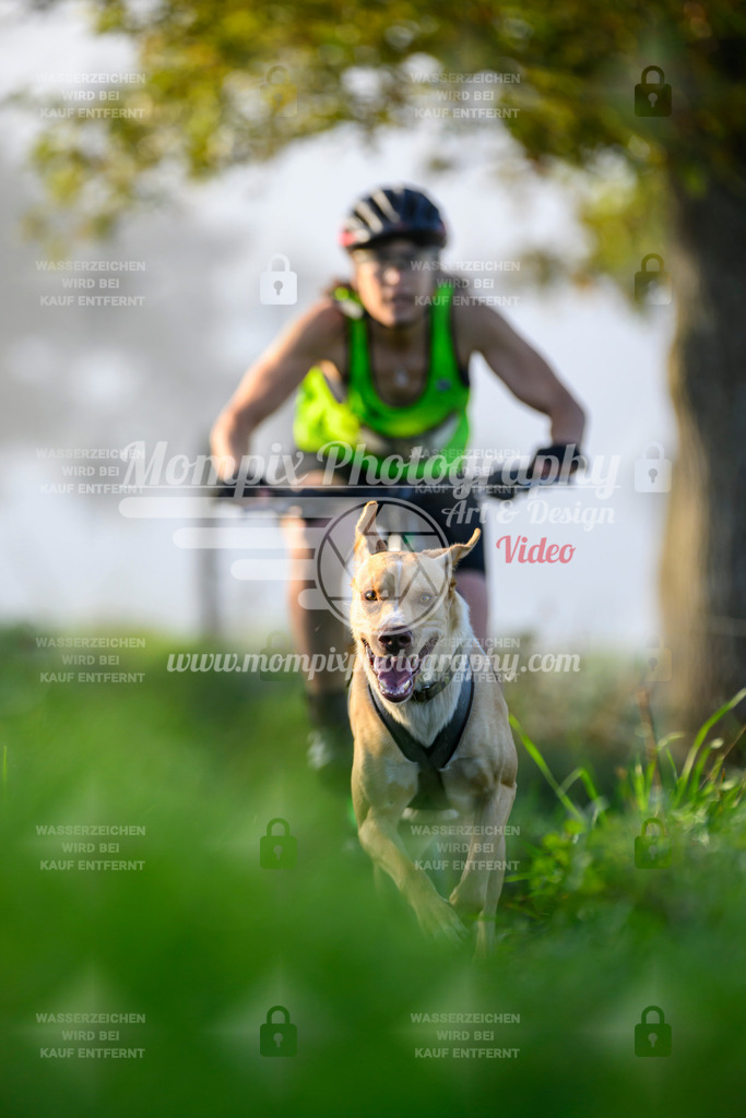 MompixPhotography_20TSB_E3_Bike-73 | PayLife