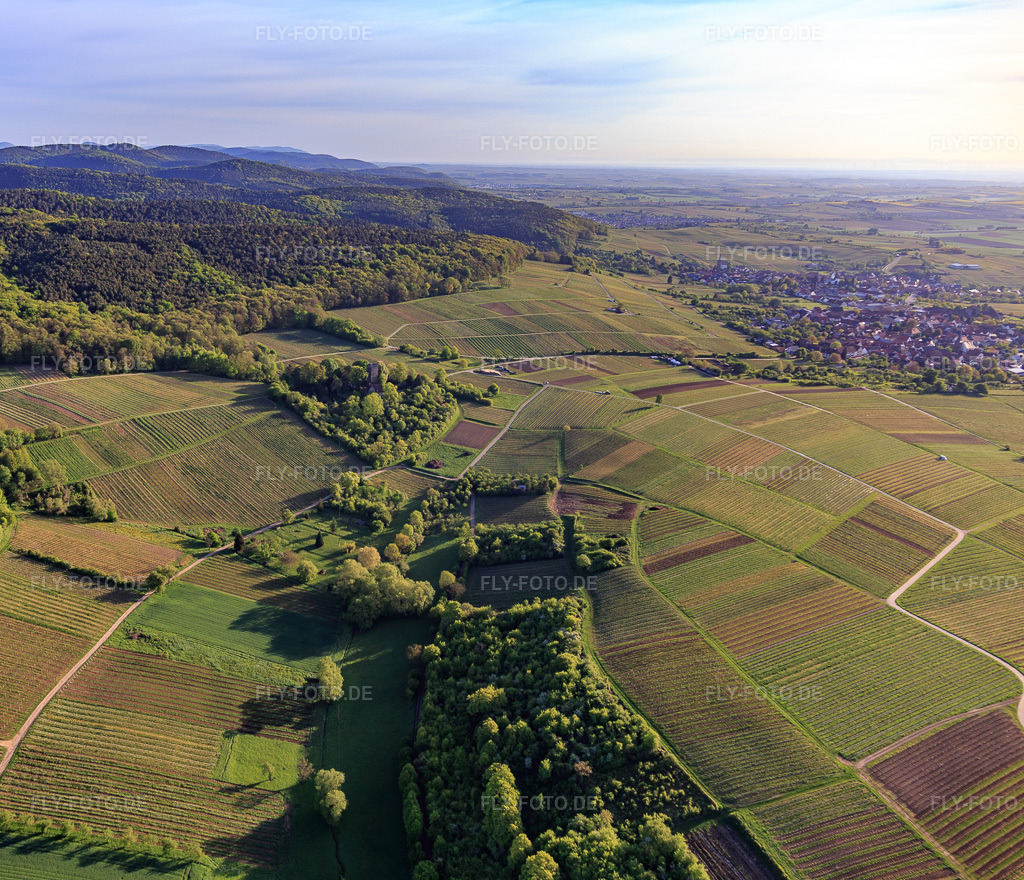 Luftbild: Weinlage Sonnenberg in Wissembourg im Bundesland Bas-Rhin in Frankreich. – Foto: IMG_107016.jpg vom 27.04.2018 durch Werner Riehm/FLY-FOTO.de – Auflösung des Originals: 4247 x 3648 px