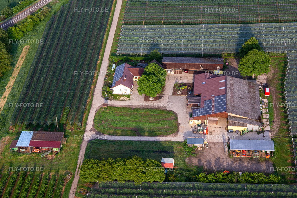 Obst- und Spagelhof Gensheimer | Luftbild: Obst- und Spagelhof Gensheimer in Steinweiler im Bundesland Rheinland-Pfalz in Deutschland. Foto: IMG_114072.jpg vom 23.05.2019 durch Werner Riehm/FLY-FOTO.de - Realisiert mit Pictrs.com