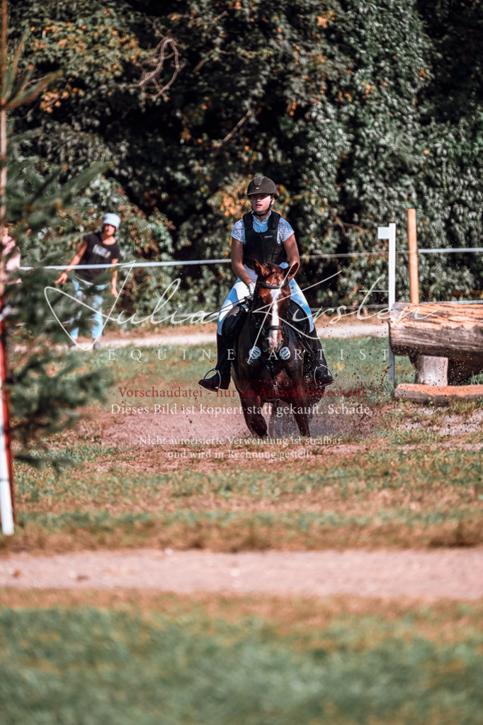 DSC_0767 | Pferde- und Turnierfotografie in Westsachsen. Pferdeportraits, Auftragszeichnungen und intuitive Kunst.