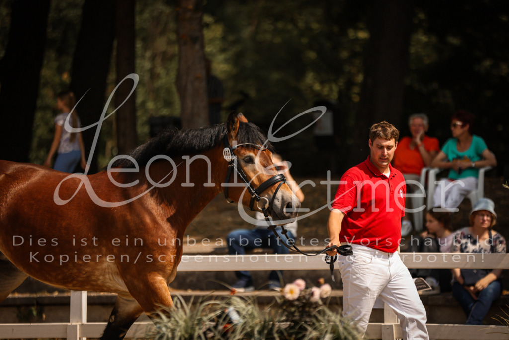 1.Sa00013 | Leoni Ertmer Photography - Realisiert mit Pictrs.com