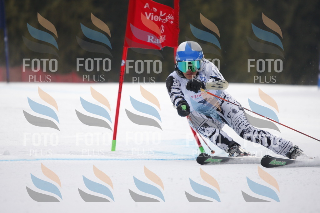 D4695 | holidayphoto