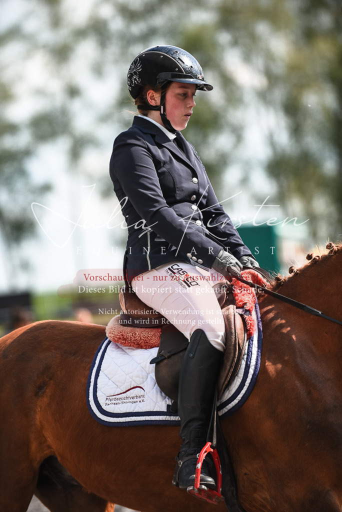 DSC_9031 | Pferde- und Turnierfotografie in Westsachsen. Pferdeportraits, Auftragszeichnungen und intuitive Kunst.