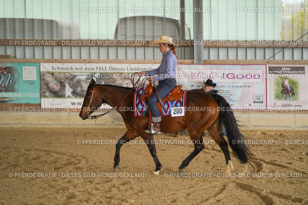 DSC03311 | Pferdegrafie