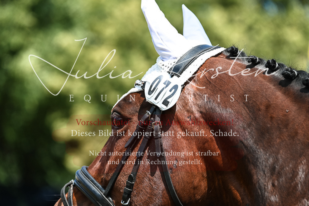 DSC_9580 | Pferde- und Turnierfotografie in Westsachsen. Pferdeportraits, Auftragszeichnungen und intuitive Kunst.