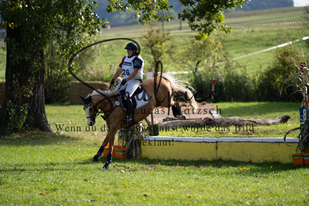 A7V03215 | Pferdefotograf