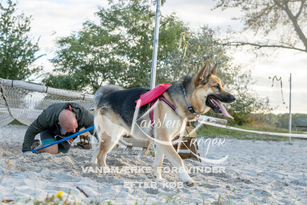 1641_ZZ98465 | kk-dogfotos