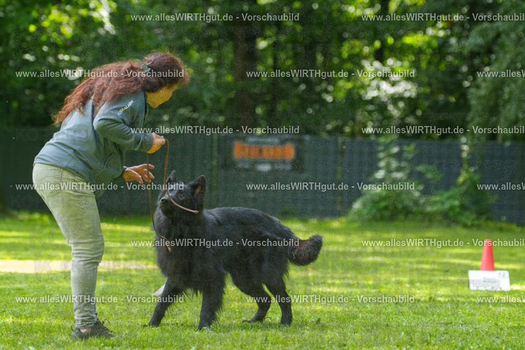 @allesWIRTHgut_Tierfotografie - www.allesWIRTHgut.de - 7R505669 | Professionelle Tierfotografie in Mönchengladbach von Daniel Wirth (allesWIRTHgut). Liebevolle & natürliche Bilder von Hunden & Katzen für unvergessliche Erinnerungen.