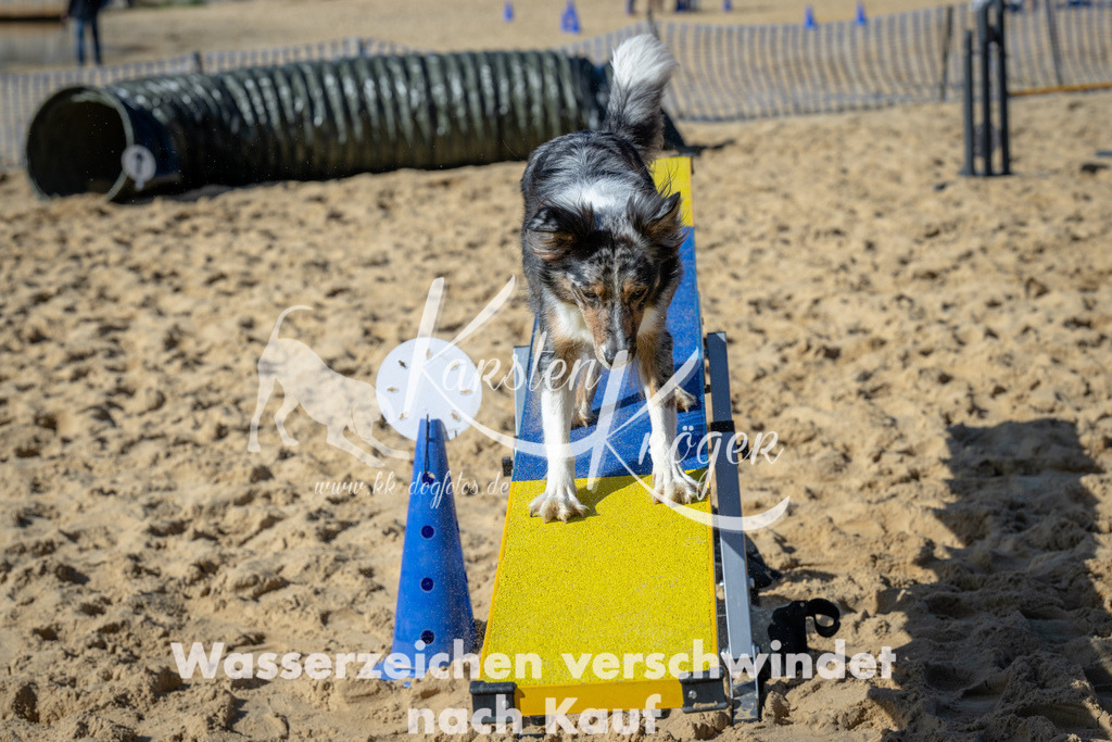 1312_ZZ94097-2 | kk-dogfotos