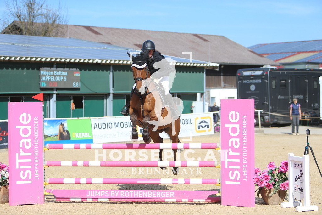 DL2Q0856 | Willkommen bei Brunnmayr - Design & Fotografie – Ihrem Spezialisten für Reitturniere und Pferdeveranstaltungen in Oberösterreich, Salzburg und Bayern! Seit über 17 Jahren sind wir leidenschaftlich dabei.