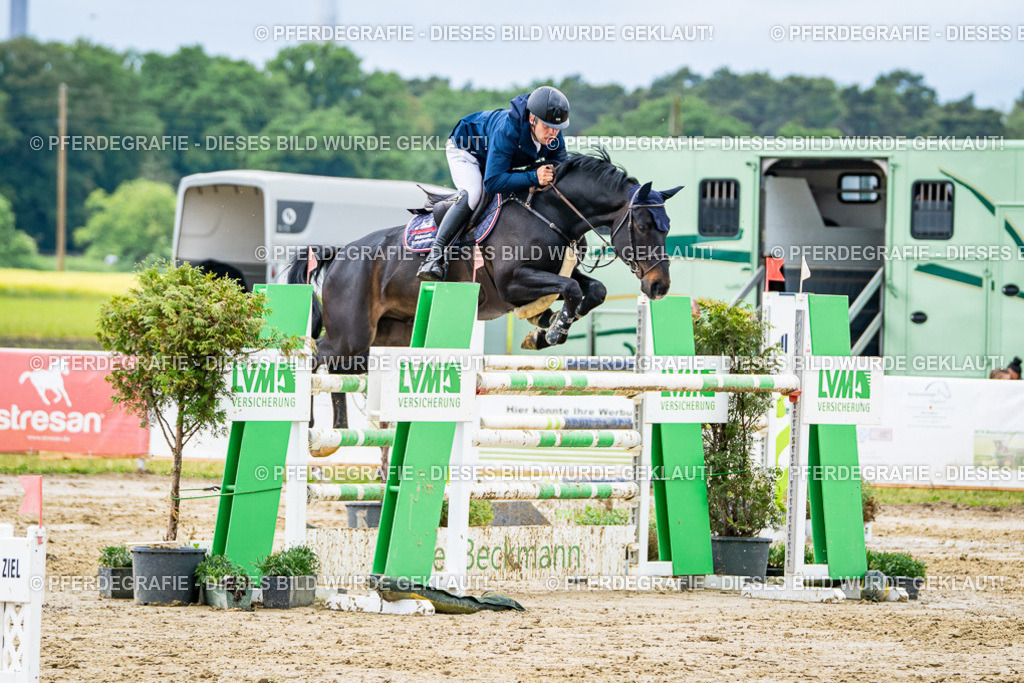 DSC04159 | Pferdegrafie