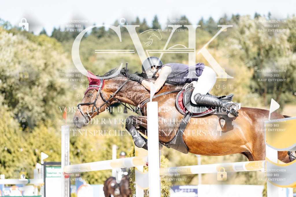 CK908749 | Turnierfotografie Pferdefotografie Trier Rheinland-Pfalz Pferdesport Reitsport Tierfotografie Sportfotografie Pferdevideo Pferdevideografie Equestrianvideography equestrianphotography  - Realisiert mit Pictrs.com