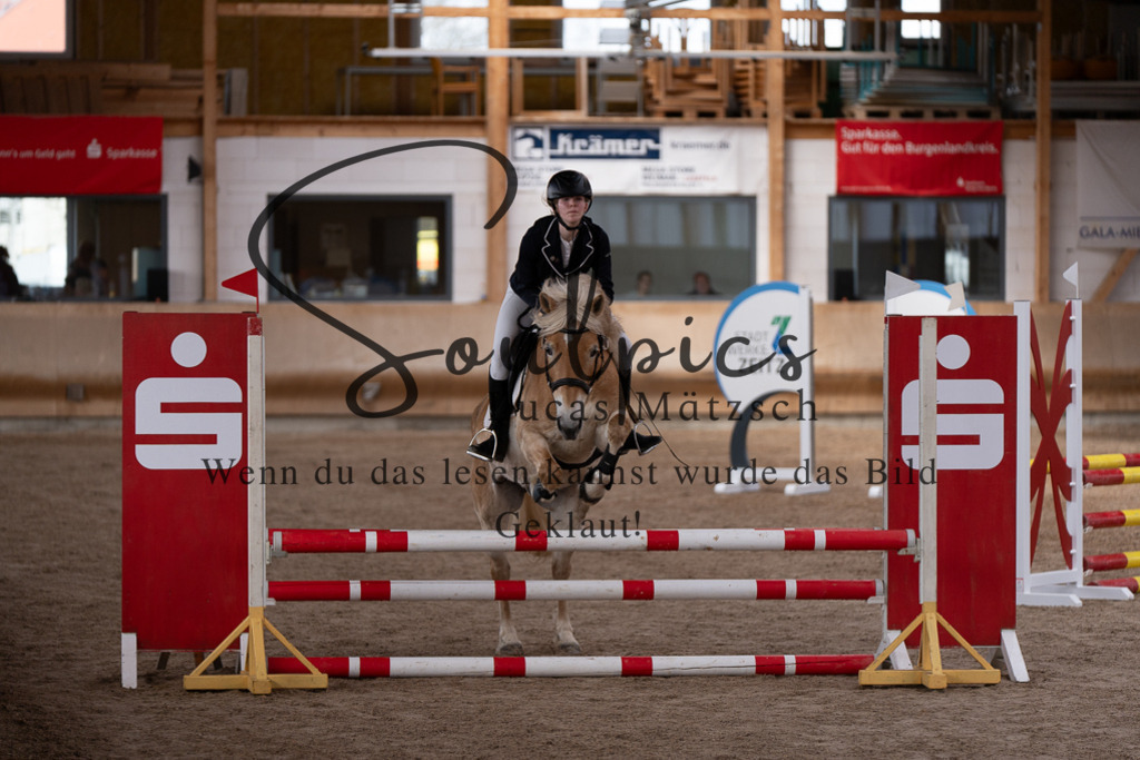 A7507429 | Pferdefotograf