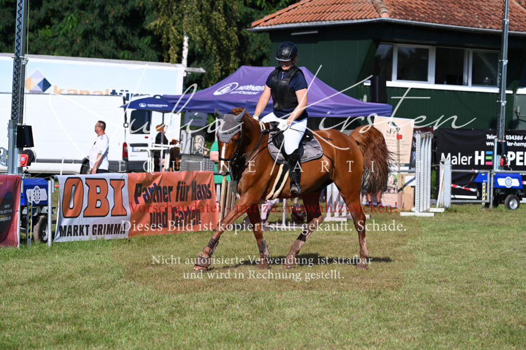 DSC_5087 | Pferde- und Turnierfotografie in Westsachsen. Pferdeportraits, Auftragszeichnungen und intuitive Kunst.